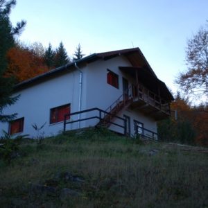 Oferta DJST Bihor 2025