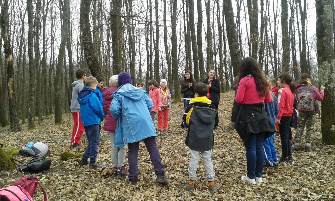 Tinerii ambasadori ai naturii 2015