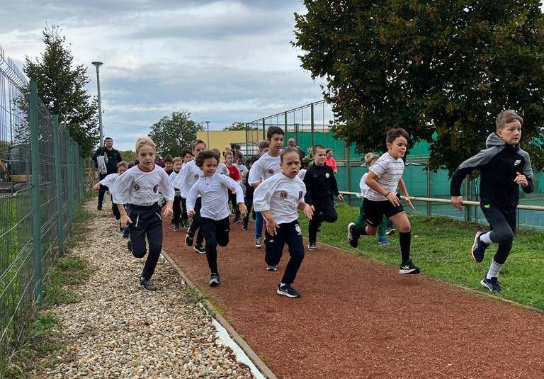 Crosul „Inima de leu”￼